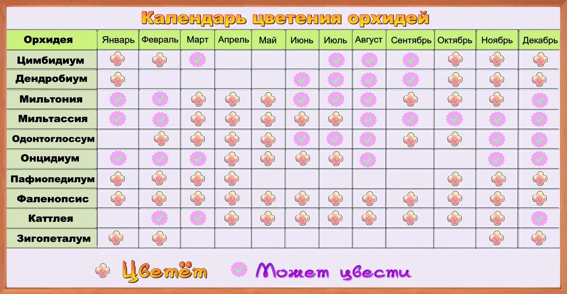 Благоприятные дни для пересадки орхидей. Лунный календарь пересадки орхидеи. Календарь полива орхидей. Календарь цветения.