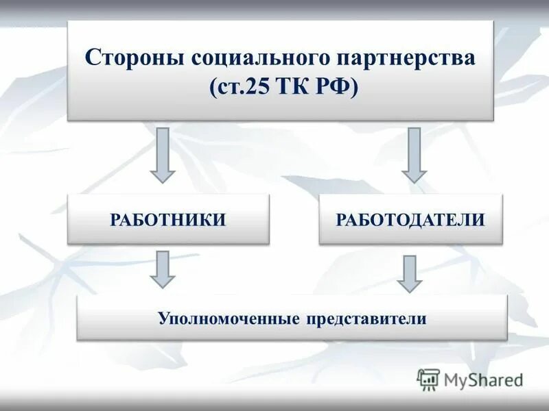 Социальные стороны информации. Стороны социального партнерства и их представители. Представители работников и работодателей в социальном партнерстве.