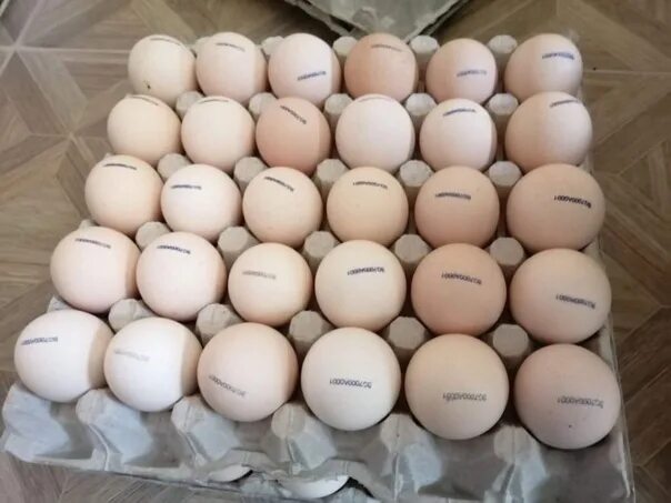 Инкубационное яйцо купить с доставкой по россии. Инкубационное яйцо Кобб 500. Маркировка инкубационного яйца Кобб 500 Чехия. Инкубационное яйцо бройлера Кобб 500. Инкубационное яйцо бройлера Росс 308.