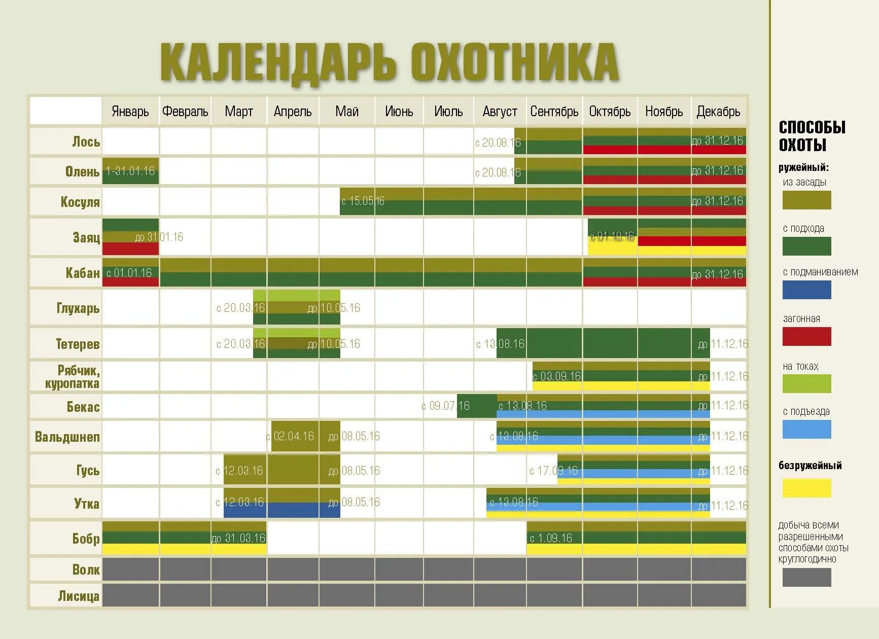 Через сколько приходит в охоту