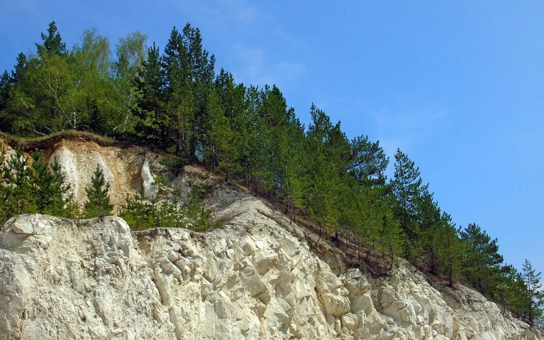 Меловые горы хвалынск. Саратовский хвалынский национальный парк. Национальныйпарк хвалынск. Хвалынский национальный парк меловые горы. Саратовский хвалынский национальный парк.