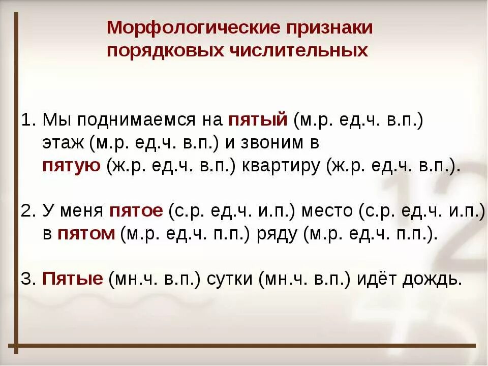 Порядковые числительные в русском языке. Порядковые чистлите. Порядковые числительные презентация. Падежные вопросы количественных и порядковых числительных. Порядковые числительные русский язык 6 класс.