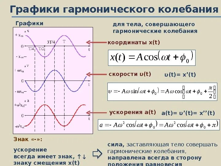 Уравнение колебания по графику гармонических колебаний. Графики гармонических колебаний формула. График ускорения гармонических колебаний. Уравнение зависимости x t по графику колебаний. Какие частоты колебаний соответствуют крайним фиолетовым