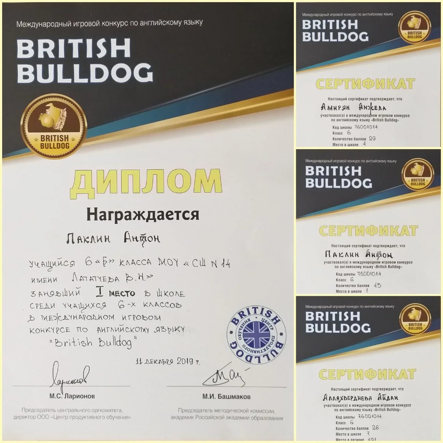 British Bulldog сертификат. Британский бульдог грамота. Британский бульдог 2024 результаты