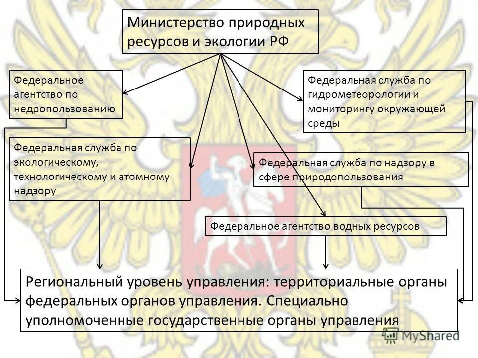 Управление минприроды