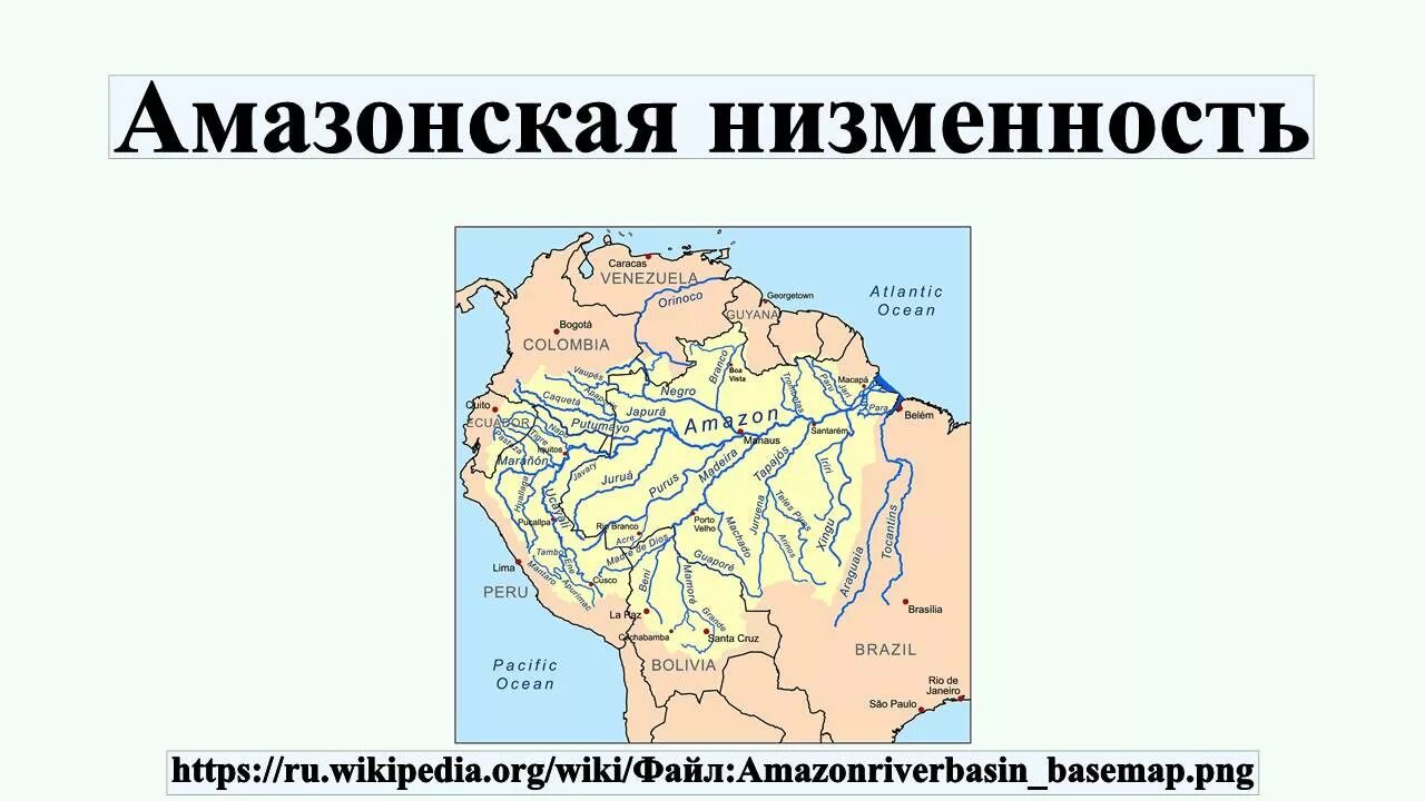 На каком материке находится амазонская низменность. Амазонская низменность на карте. Равнина Амазонская низменность на карте. Амазонская низменность на физической карте Южной Америки. Где находится Амазонская низменность на контурной карте.