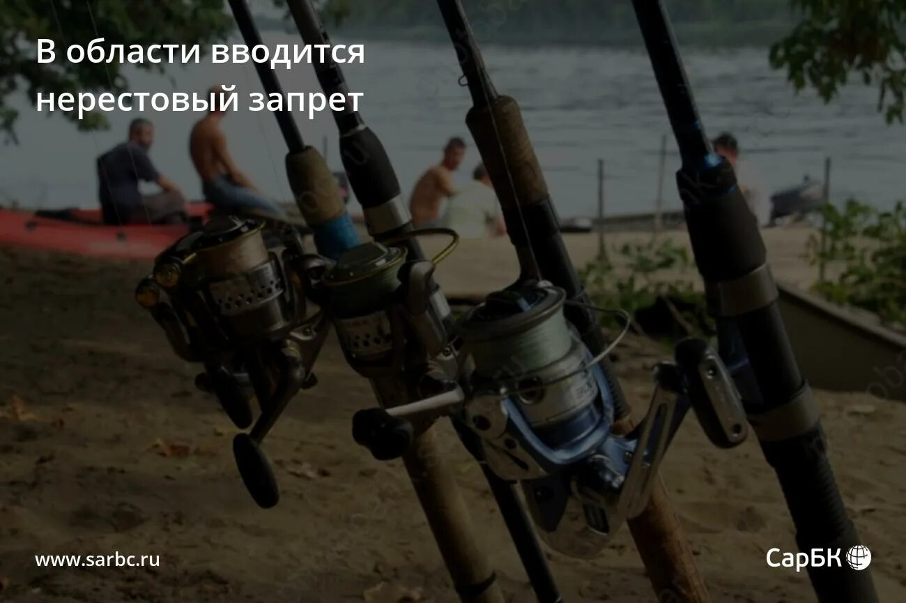 Нерестовый запрет 2025 в чувашии. Нерестовый запрет 2025 в чувашии