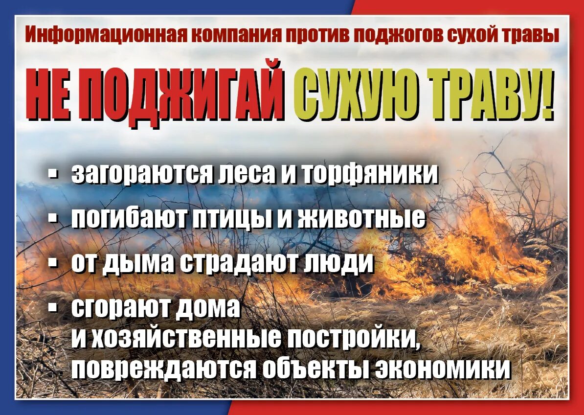 Какой противопожарный режим в свердловской области. Особый противопожарный режим. Пожар в лесу. Особый противопожарный режим новый год. Баннер особый противопожарный режим.