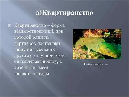 Квартиранство в биологии