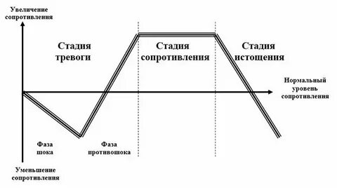 Общая стадия это