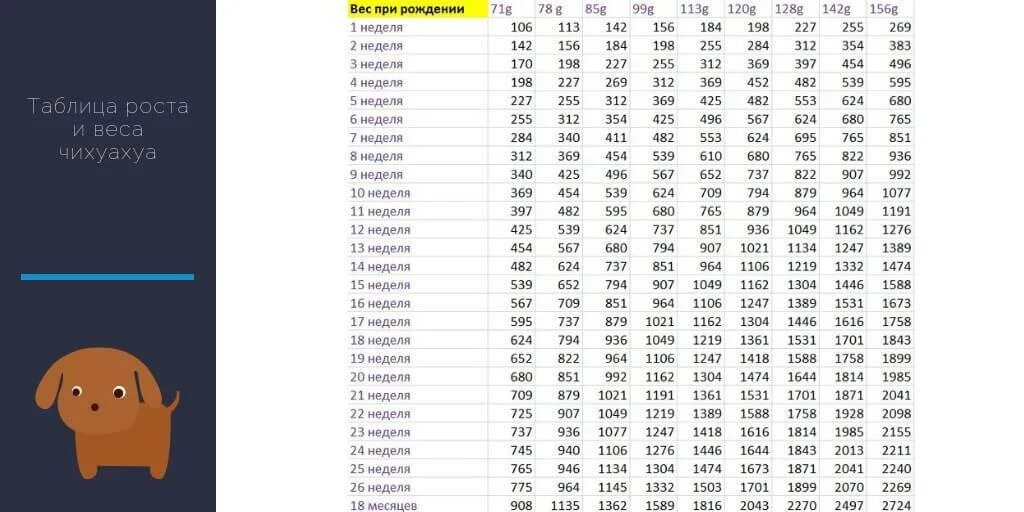 Щенку 5 недель. Вес щенка померанского шпица по месяцам таблица. Вес щенков по месяцам таблица средних пород. Вес кобелей чихуахуа стандарт. Вес щенка малого шпица по месяцам таблица.