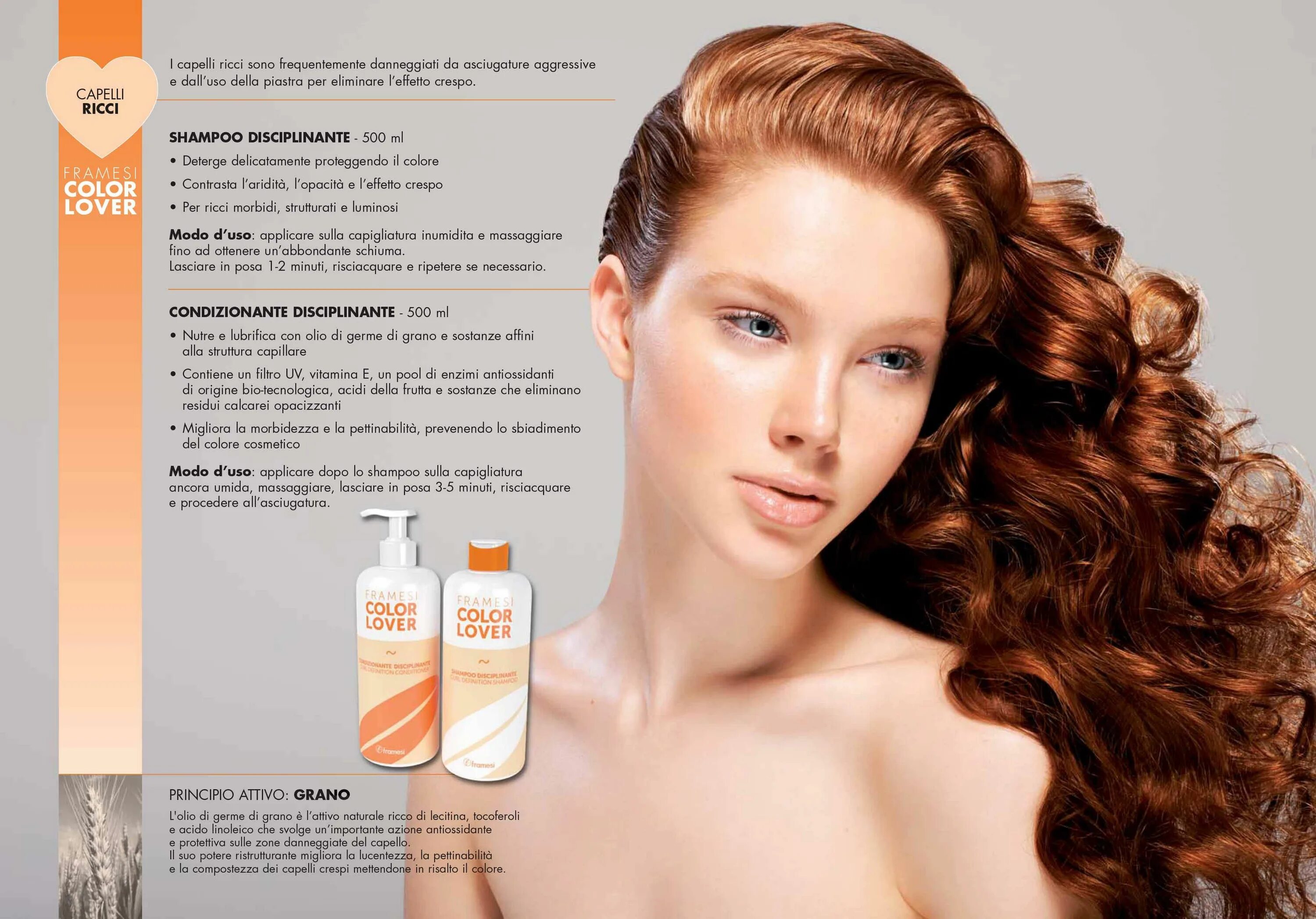 Curl directory