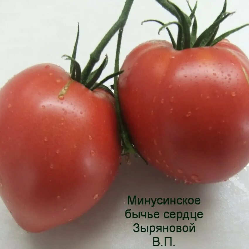 Минусинское сердце кистевое. Минусинское сердце кистевое. Томат "бычье сердце минусинское с носиком". Клубника бычье сердце. Бычье сердце минусинское.