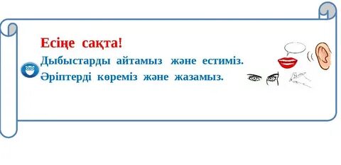 Портативті дәретханадағы жасырын камера