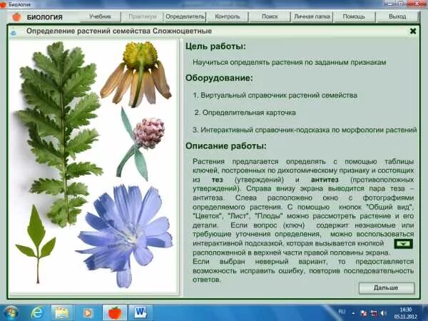 Растения для лабораторной работы. Практическая работа по биологии растения. Практические и лабораторные работы по биологии. Биология лабораторная работа.