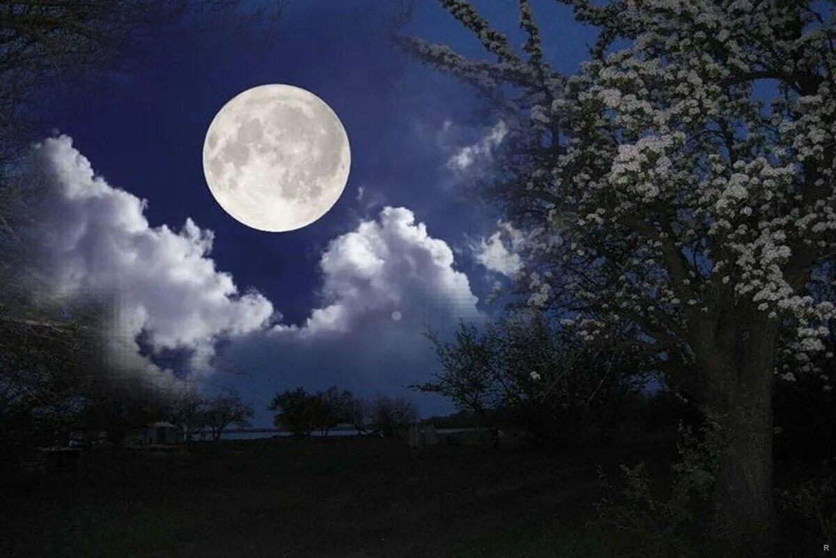 Ясный вечер. Полнолуние. Ясная Луна. Полнолуние полночь. Лунная Весенняя ночь.