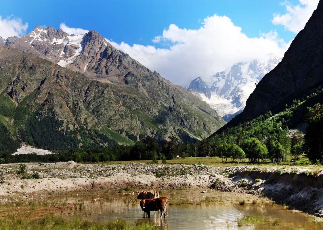 Камордина болгарская республ. Кабардино-балкарии кабардино-балкария. Национальный парк приэльбрусье кабардино-балкария нальчик. Каковы кбр. Каковы кбр.