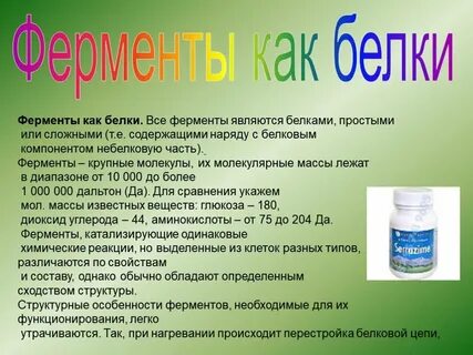 К белкам ферментам относятся