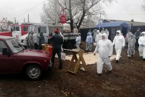 Африканская чума брянская область