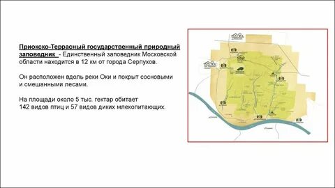 Приокско террасный заповедник кроссворд 3