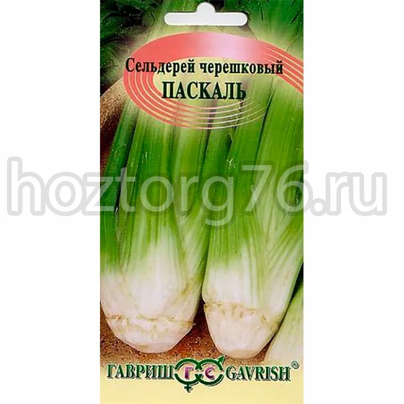 Сельдерей паскаль. Сельдерей черешковый юта гавриш. сельдерей черешковый атлант 0,3г гавриш (б.п.). семена. сельдерей черешковый. семена гавриш сельдерей черешковый атлант 0,3 г.