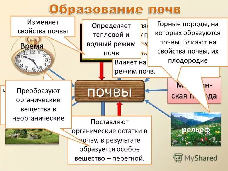 Органические свойства почвы. Свойства почвы схема. Способы образования почв. Процесс образования почвы. Как образуется почва.