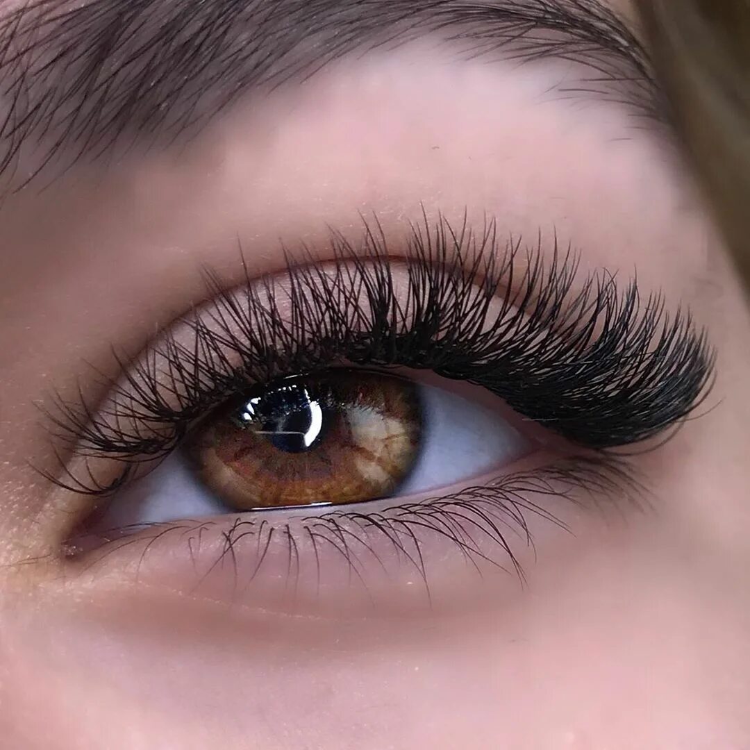 Наращивание ресниц беличий эффект 2д изгиб с. Ресницы натуральные 2д. Наращивание 2д. Ресницы классика натуральный эффект13мл. Ресницы лисий и натуральный эффект 2д.