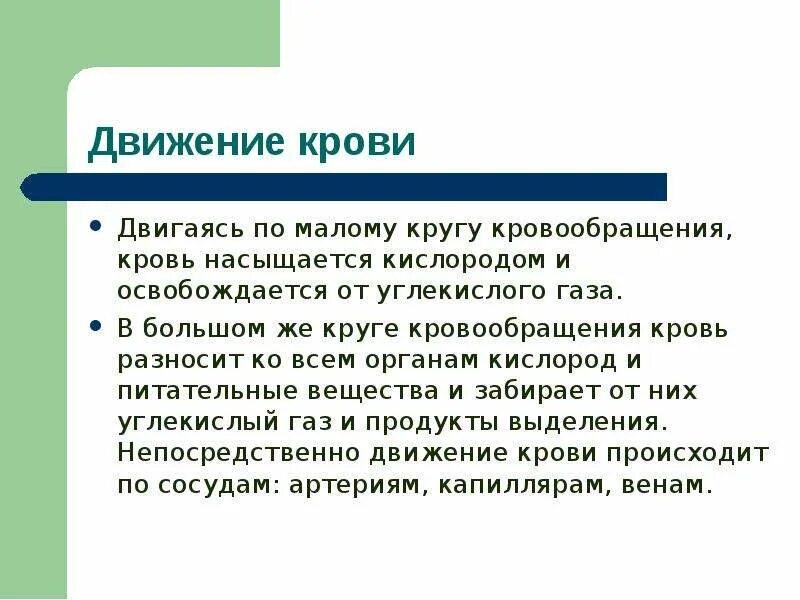 Кровь насыщается кислородом в легких