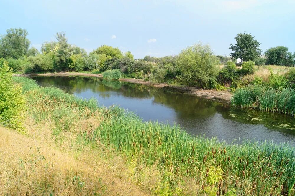 Пруд сорванный. Деревня. Пруды песчаный карьер озерное. Лабутинский пруд воронежской области. Краснолипье пруд.