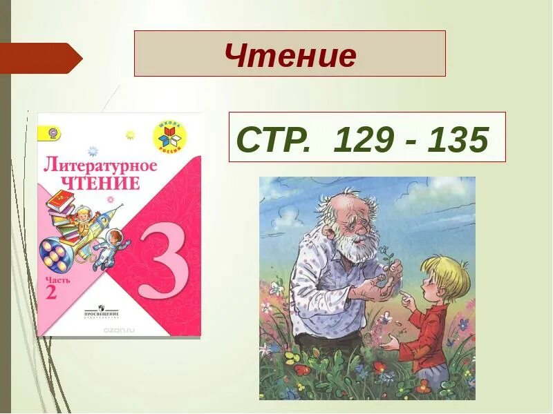 Цветок на земле Платонов. Цветок на земле Платонов план. А п платонова цветок на земле