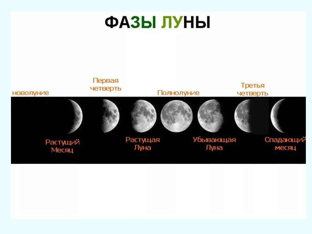 Луна 6 класс. Фазы убывающей Луны схема. Фаза убывающей Луны рисунок. Фазы растущей и убывающей Луны. Фазы Луны новолуние первая четверть.
