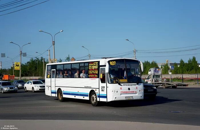 Мс 178. 827 Автобус СПБ. Проспект Просвещения 827 маршрутка. Автобус 827 Сестрорецк. Автобусы гражданские.