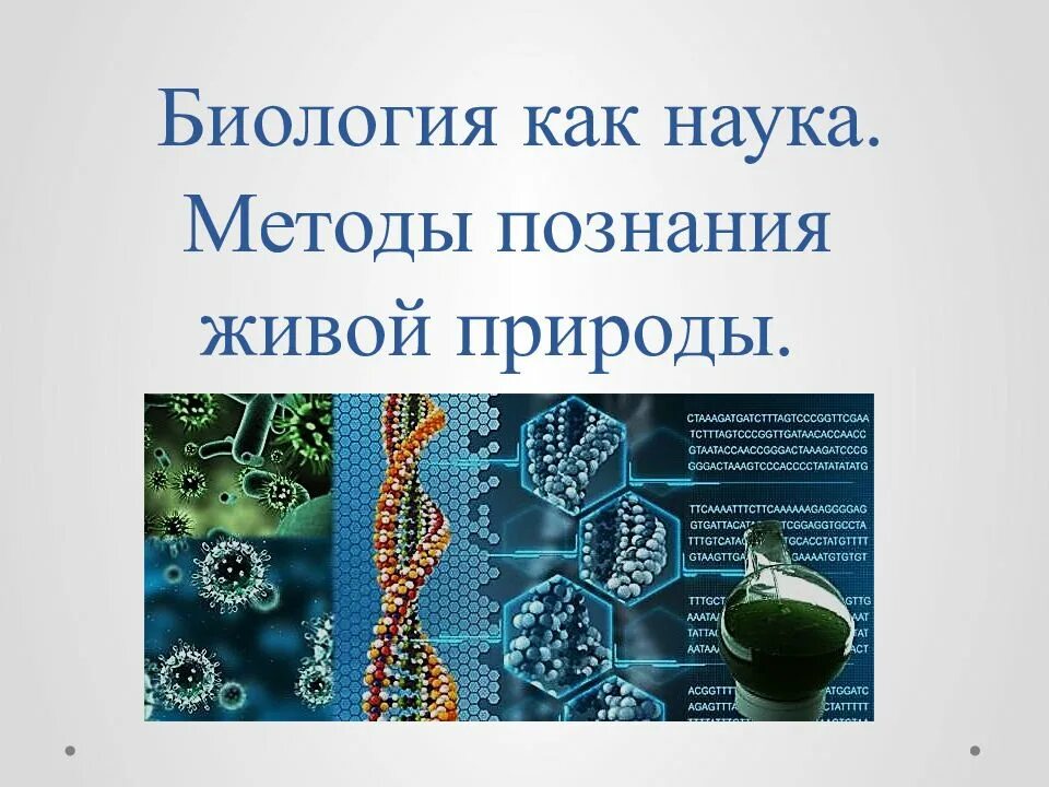 Методы научного познания в биологии. Биология как наука методы познания живой природы. Способы познания природы.