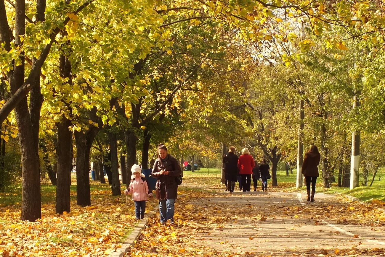 Гулять по аллее. Прогулка в осеннем парке. Прогулки в парках. Прогулка в парке. Парк с людьми осенью.