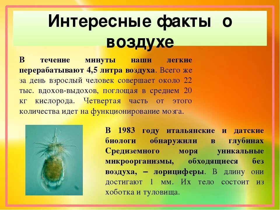 Интересные факты о воздухе. Удивительные факты про воздух. Интересные факты о воздухе для детей. Интересные факты для детей