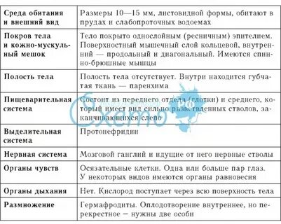 Среда обитания плоских