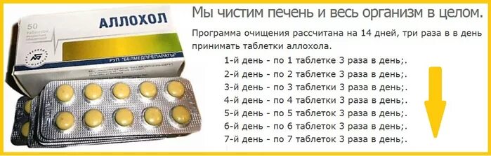 Сколько капсул нужно пить. Аллохол схема чистки печени. Очищение печени аллохолом схема. Схема пить аллохол для чистки печени. Таблетки для чистки печени аллохол.