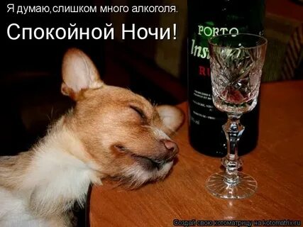 Спокойно выпивать