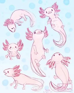 Рисунок аксолотля
