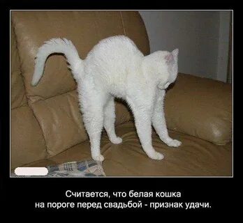 В такую рань