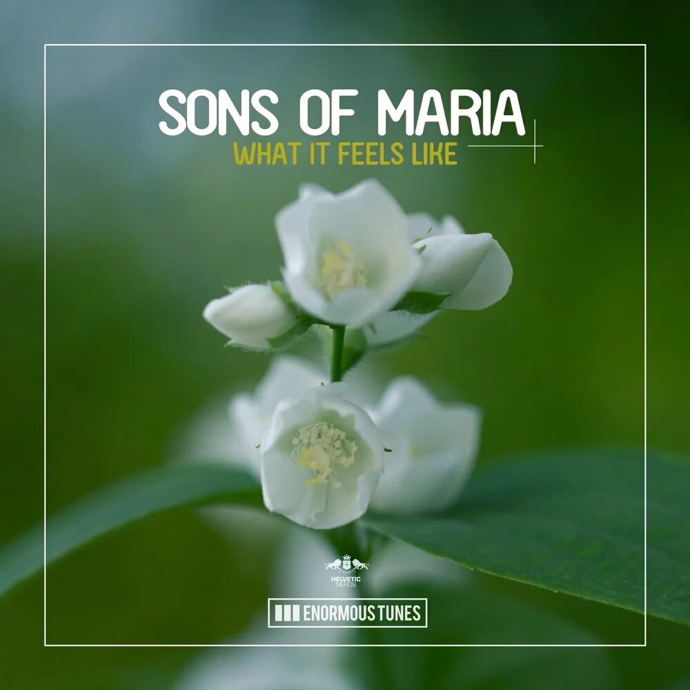 "Sons of Maria" && ( исполнитель | группа | музыка | Music | Band | artist ) && (фото | photo). DJ Maria альбомы. Marie's sons.