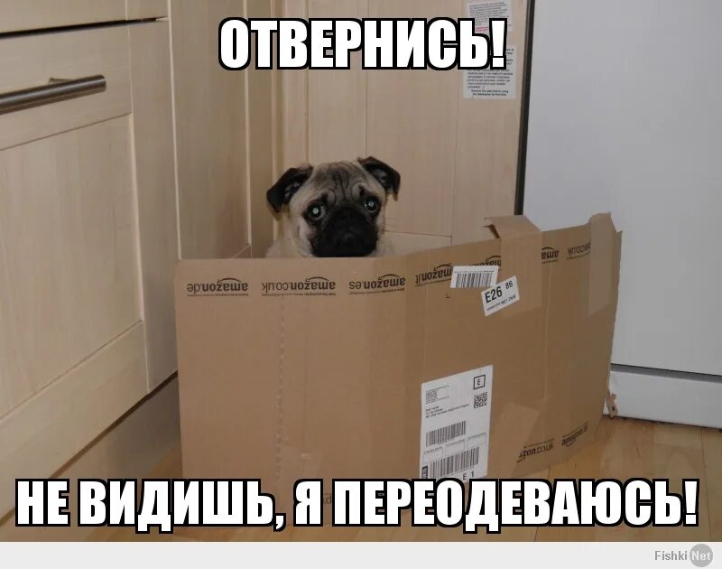 Сестра нечаянно увидел. Сестра нечаянно увидел. Сестра нечаянно увидел. Сестра нечаянно увидел. Сестра нечаянно увидел.