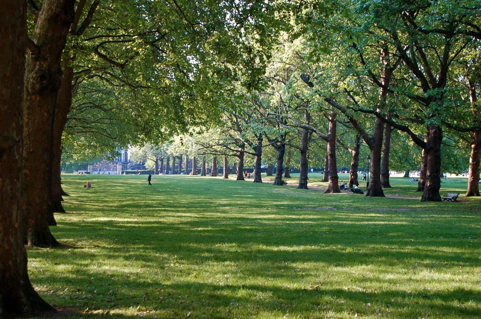 Слайд парк. Грин парк Англия. Грин парк в Лондоне фото. Грин-парк (Green Park) Лондон. Грин парк площадка.