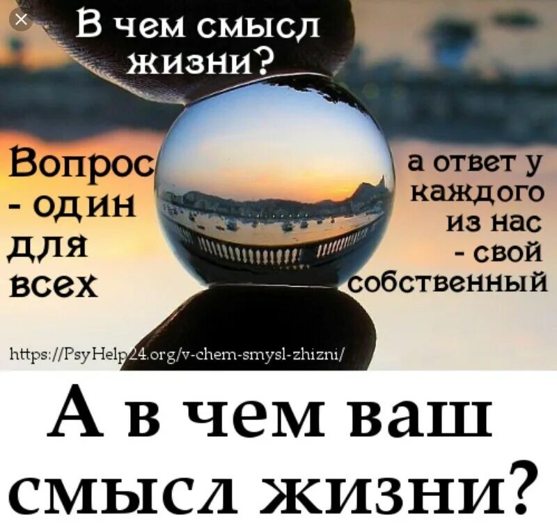 Какой бывает смысл. О смысле жизни. в чем смысл жизни. в чём смысл жизни человека. смысл жизни в жизни.