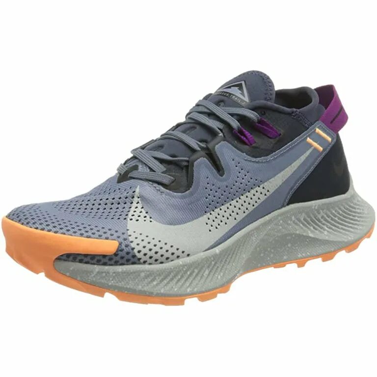 Найк пегасус трейл. Nike Pegasus Trail 2. Nike Pegasus Trail 2 женские. Nike Pegasus Trail Running Shoe. Nike Trail Pegasus 2 голубые.