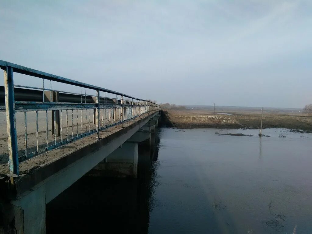 Уровень реки мокша. Уровень воды на реке мокша в мордовии. темников мост мокша. мокша сасовский мост. мокша река в мордовии мост.