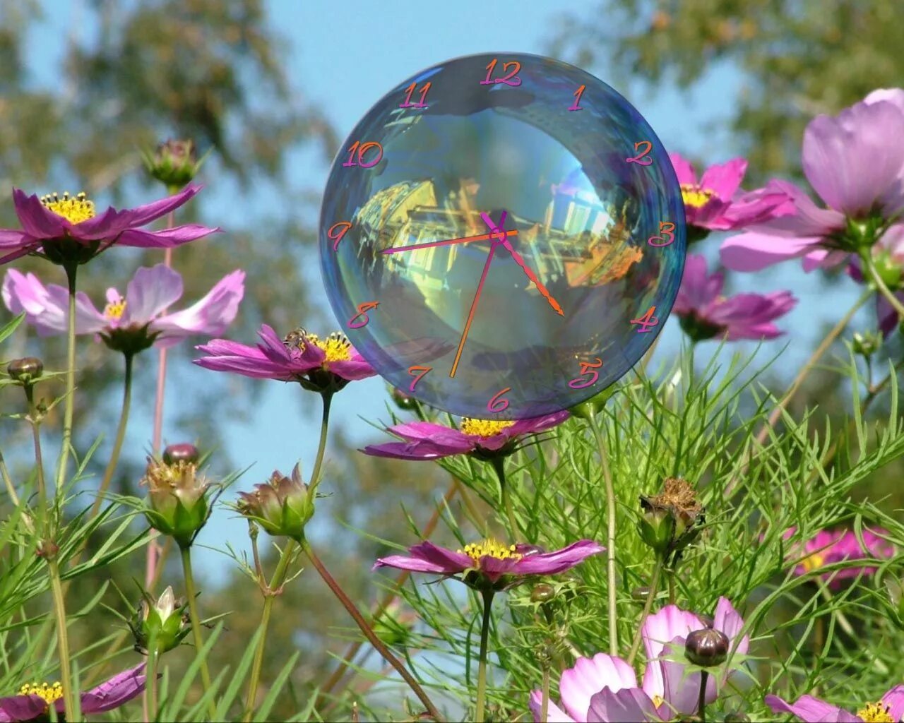 Мыльные пузыри. Мыльные пузыри на природе. Красивые мыльные пузыри. Пузыри в природе. Цветы бабл
