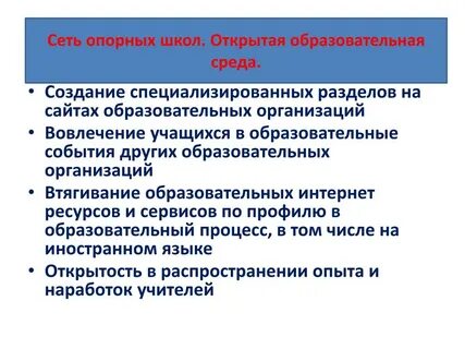 Программа опорной школы