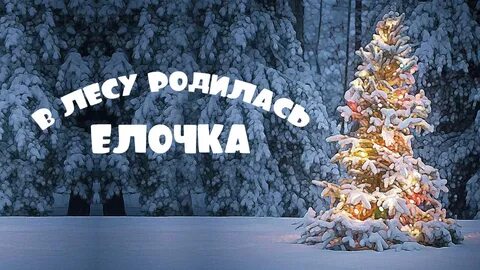 В лесу родилась елочка телепрограмма