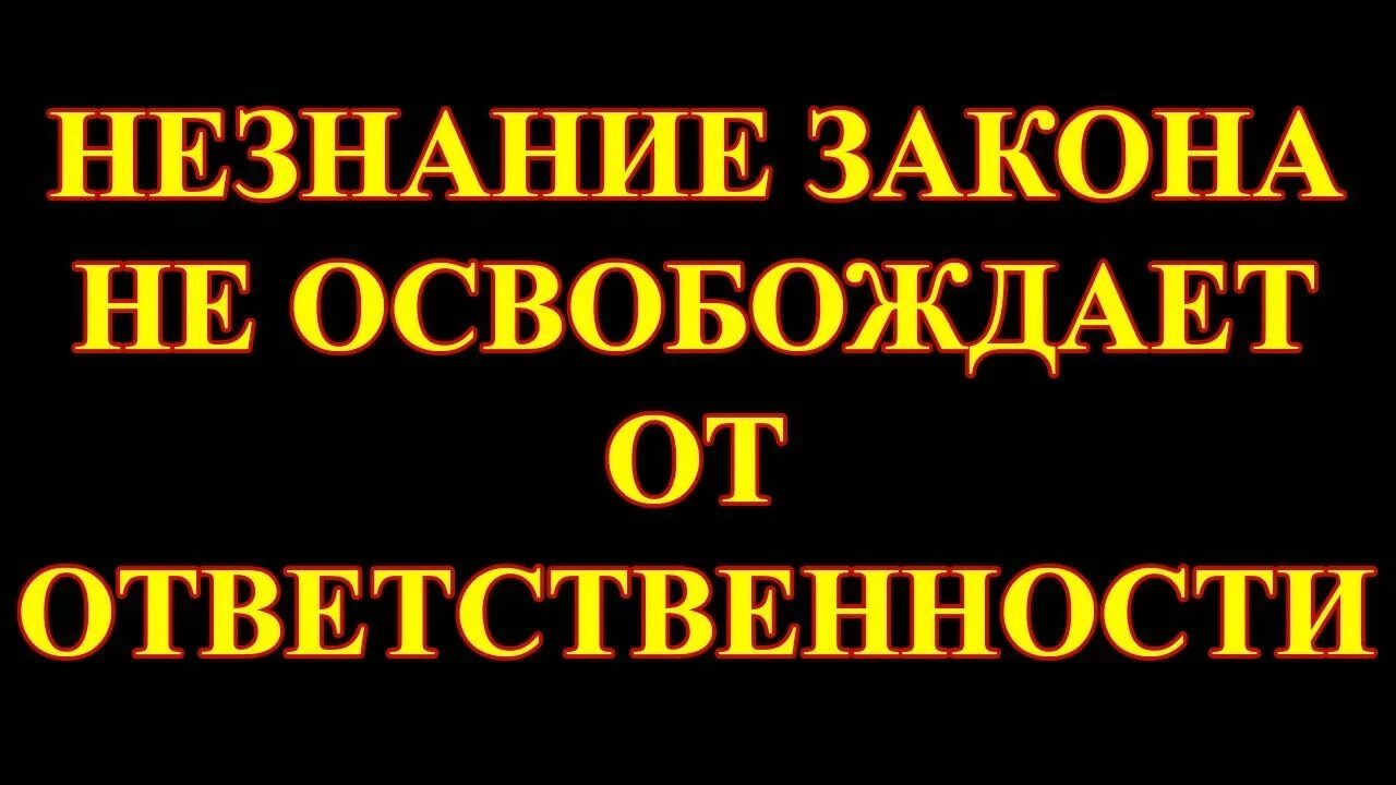 Девиз классного руководителя. Незнание закона не освобождает от ответственности. Незнание закона не освобождает. Фраза незнание закона не освобождает. Афоризмы ежи леца.